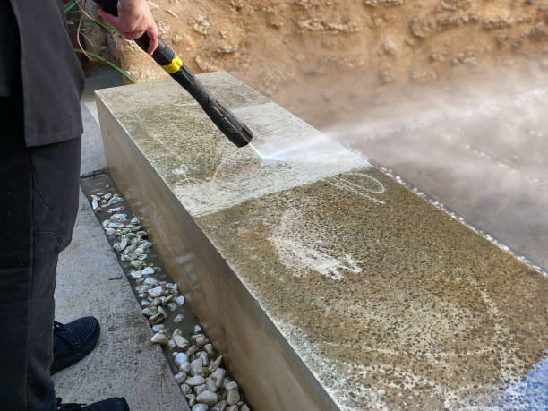 Best Affordable Pressure Washing  in Parlier, CA